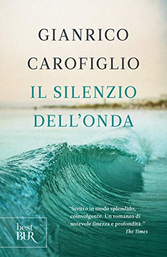copertina libro il silenzio dell'onda