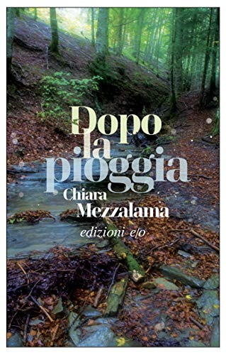 copertina del libro dopo la pioggia