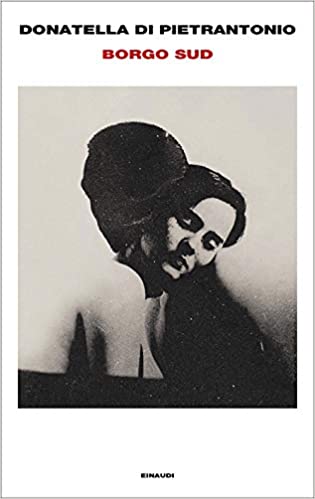 copertina del libro borgo sud